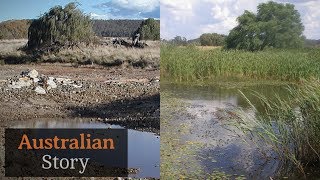 Natural sequence farming How Peter Andrews rejuvenates droughtstruck land  Australian Story [upl. by Gerianne]