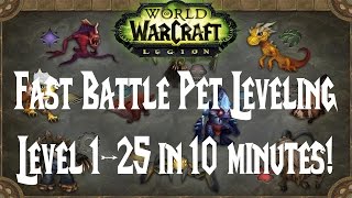 WoW Easy Battle Pet Leveling  Level 1 to 25 in 10 Minutes [upl. by Spense]