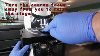 How to Focus Using Oil Immersion Microscopy 1000X [upl. by Onailerua17]