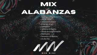 MÚSICA CRISTIANA  ALABANZAS  New Wine  MIX  GOZO [upl. by Regdirb]