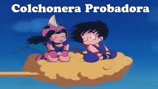 Colchonera PROBADORA  Broma [upl. by Branch]