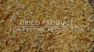 Food Drying Citrus Peel Pulp for Pectine  TEMA Process Fluid Bed Dryers [upl. by Nasus]