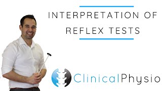 Interpretation of Reflex Tests  Clinical Physio [upl. by Patti]