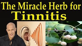 The Miracle Herb for Tinnitus  Dr Mandell [upl. by Tiena]