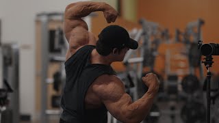 IFBB Pro Arm Workout [upl. by Lovmilla]