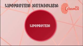 Lipoprotein • structure function amp classification Biochemistry [upl. by Sikras]