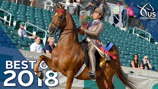 Best of 2018 Saddle Seat World Cup [upl. by Carson]