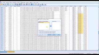 Guia SPSS 6  Variáveis de respostas múltiplas [upl. by Neehahs997]