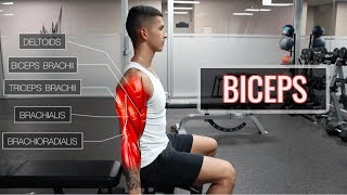 The Best ScienceBased Bicep Workout  ARMS Part 12 [upl. by Yreme949]