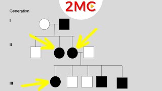 Inheritance Patterns  Reading Pedigree Charts [upl. by Sasha]