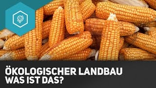 Was ist ökologischer Landbau  Landwirtschaft in Industrieländern 5 [upl. by Robet345]