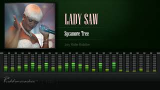 Lady Saw  Reggae Sumfest Spotlight 1 [upl. by Ecirum]