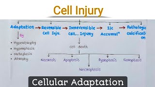 Cell Injury  Cellular Adaptation  General Pathology  Chirag Baraiya [upl. by Esserac284]