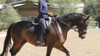 How to Sit in the Saddle and Move with your Horse [upl. by Erek93]