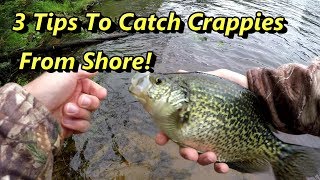 3 Crappie Fishing Tips Guaranteed To Catch Crappies From Shore [upl. by Ylesara329]