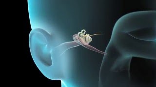 ENT  Physical Exam of the Ear Nose Throat [upl. by Orlan]