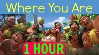 1 HOURLYRICS Where You Are Moana soundtrack Loop [upl. by Kcirneh]