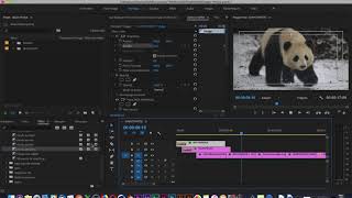 IU ACADEMY  CREE UN DIAPORAMA PHOTO SOUS PREMIERE PRO [upl. by Gerta463]