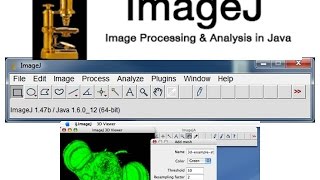 How to download image J [upl. by Dannon]