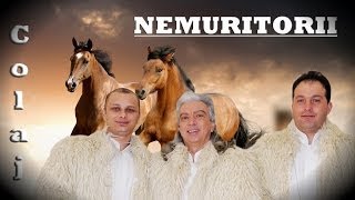 NEMURITORII  COLAJ HITURI 2014  VIDO FULL HD SPIROS GALATI [upl. by Lark921]