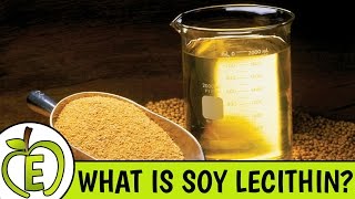 Soy Lecithin Why It Is Bad For You [upl. by Joy]