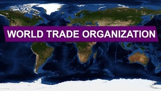 The World Trade Organization WTO • Explained With Maps [upl. by Mosi548]