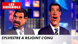 Sylvestre à rejoint lONU  Les Guignols  CANAL [upl. by Sokin]