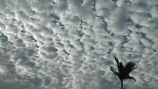 Altocumulus Clouds [upl. by Granny]