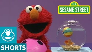 Sesame Street Play Ball  Elmos World [upl. by Ennovyhc793]