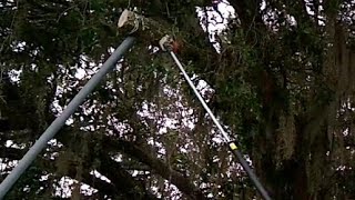 Cut Tree Branches Over House Without Hitting the Roof [upl. by Eenafets]