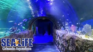 SEA LIFE Orlando Aquarium Full Walkthrough  Reopening Day [upl. by Carlisle]