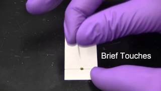 Thin Layer Chromatography [upl. by Atsedom295]