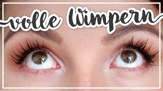 Lange Wimpern ohne Wimpernverlängerung – WIMPERNSERUM IM TEST TypischSissi [upl. by Batchelor]