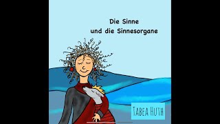 Die Sinne und die Sinnesorgane [upl. by Linzer128]