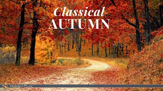 Classical Autumn [upl. by Nosyrb]