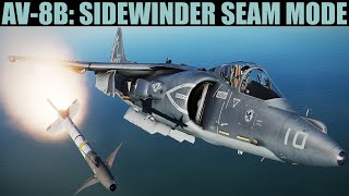 AV8B Harrier Aim9 Sidewinder SEAM Mode Tutorial  DCS WORLD [upl. by Johnson]