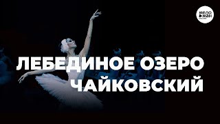 ЧАЙКОВСКИЙ  ЛЕБЕДИНОЕ ОЗЕРО [upl. by Ivetts]