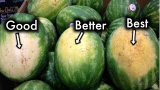 How To Pick The Sweetest Watermelon Every Single Time [upl. by Launame]