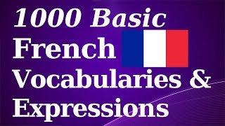 1000 Basic French Vocab amp Expressions [upl. by Hayikaz]