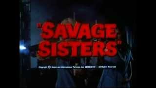 Savage Sisters 1974 Send Me A Postcard Shocking Blue [upl. by Akiv]