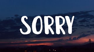 Alan Walker amp ISÁK  Sorry Lyrics [upl. by Nileek531]