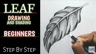 HOW TO DRAW AND SHADE A LEAF  Step By Step [upl. by Anialam]