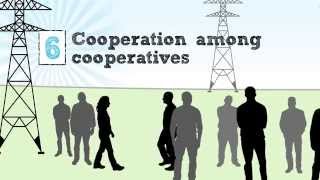 The Cooperative Business Model — The Seven Cooperative Principles [upl. by Imeon573]