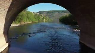 Bingen am Rhein von oben – Die Stadt mit Herz und Charme heißt Sie herzlich willkommen [upl. by Elrae]