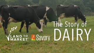 The Story of Dairy  Regenerative Agriculture Documentary [upl. by Dust874]