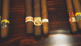 Understanding Cigars [upl. by Faline]