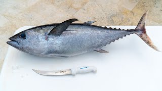 How To Fillet Whole Blackfin Tuna [upl. by Nnairak]