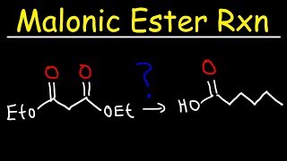 Malonic Ester Synthesis Reaction Mechanism [upl. by Manolo]