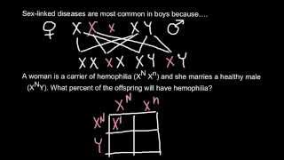 Hemophilia A  Bleeding  Most Comprehensive Explanation  Hematology Bleeding and Coagulation [upl. by Caravette162]