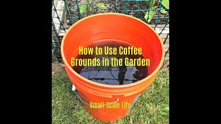 How to Use Coffee Grounds for Plants [upl. by England36]